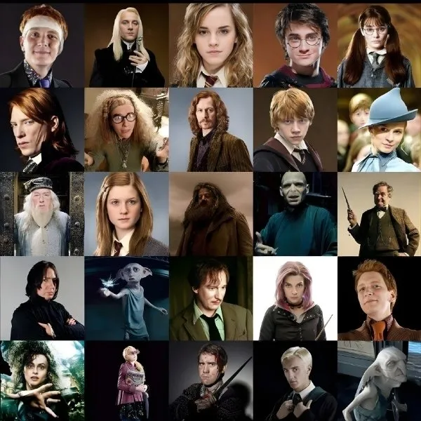 Grille de portraits des personnages de Harry Potter incluant Harry, Hermione, Ron, Voldemort, Severus Rogue, Hagrid, Dobby et Bellatrix Lestrange.