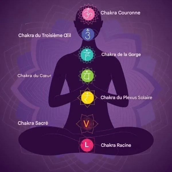 Schéma illustrant les 7 centres énergétiques des chakras sur le corps humain