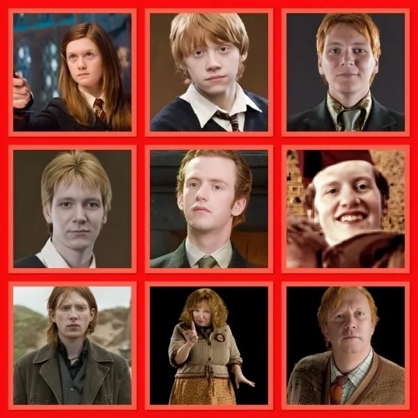 Membres de la famille Weasley, exemple célèbre de sorciers de sang-pur dans l'univers Harry Potter.