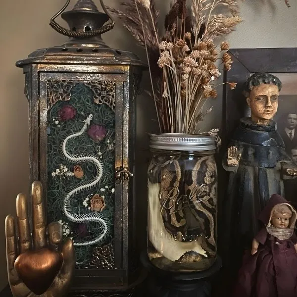 Décoration de cabinet de curiosités avec une lanterne ancienne contenant un squelette de serpent sur mousse verte, un spécimen de serpent conservé dans un bocal en verre et des statuettes religieuses vintage dans une ambiance gothique et mystique.