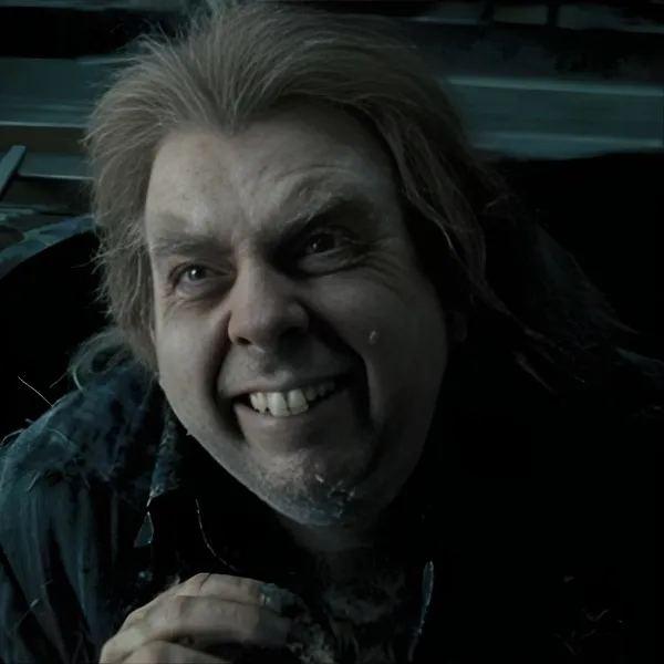 Peter Pettigrew ,sorcier sombre rat serviteur de l'ombre esthétique cabinet de curiosités