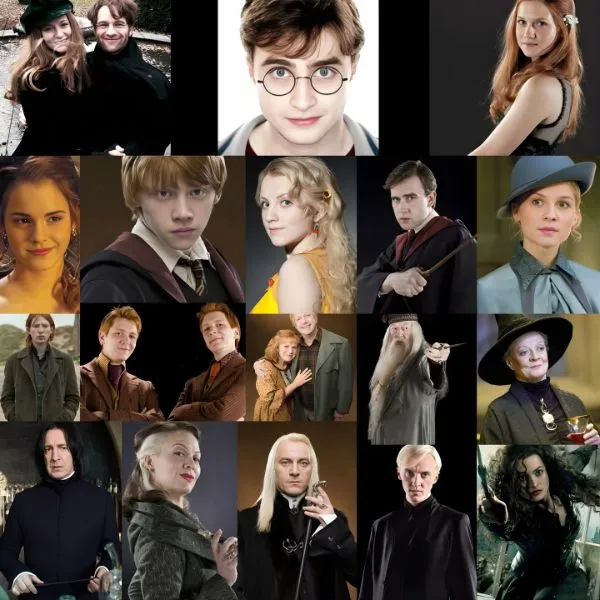 Portrait des sorciers célèbres de Poudlard : Harry Potter, Hermione Granger et les membres de l'Ordre du Phénix