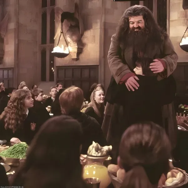 Rubeus Hagrid serrant Harry Potter dans ses bras dans la Grande Salle de Poudlard sous le regard d'Hermione Granger
