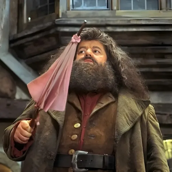 Hagrid avec sa barbe imposante et son manteau marron utilisant son parapluie rose comme baguette magique