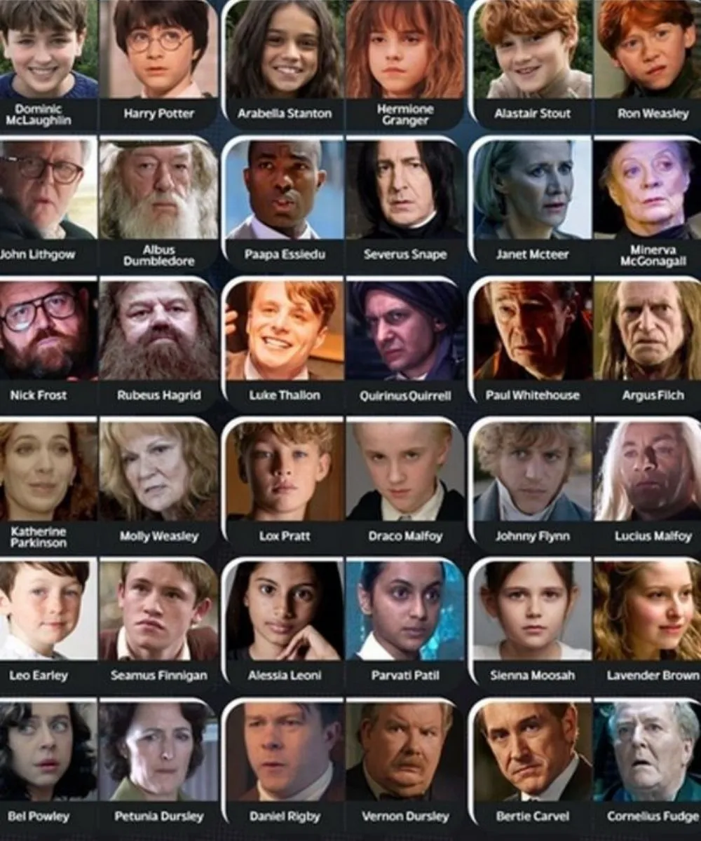 Tableau récapitulatif officiel du casting de la série Harry Potter HBO incluant Dumbledore, McGonagall et Hagrid.