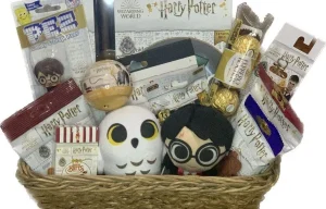 Pochette surprise et coffret collection cadeaux Harry Potter pour fille avec peluche Chouette Hedwige