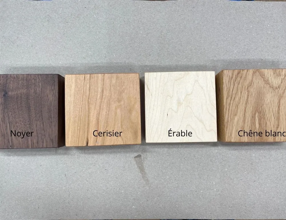 Échantillons d'essences de bois nobles avec gravures pour le choix d'une baguette magique personnalisée.