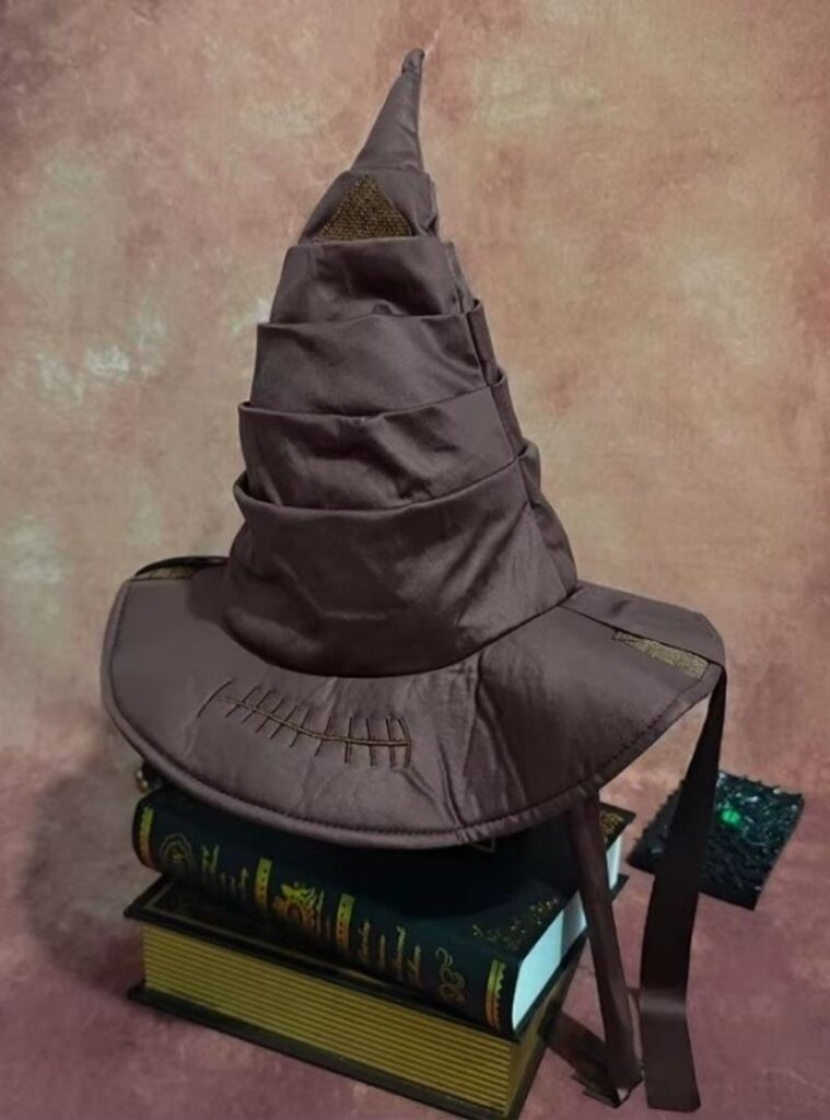 chapeau de sorcier vintage haute qualité
